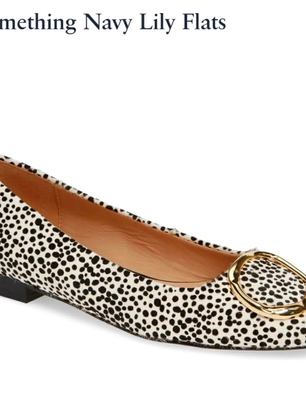 Something Navy Lily Dotted Ballet Flats in Black & White with Gold Accent